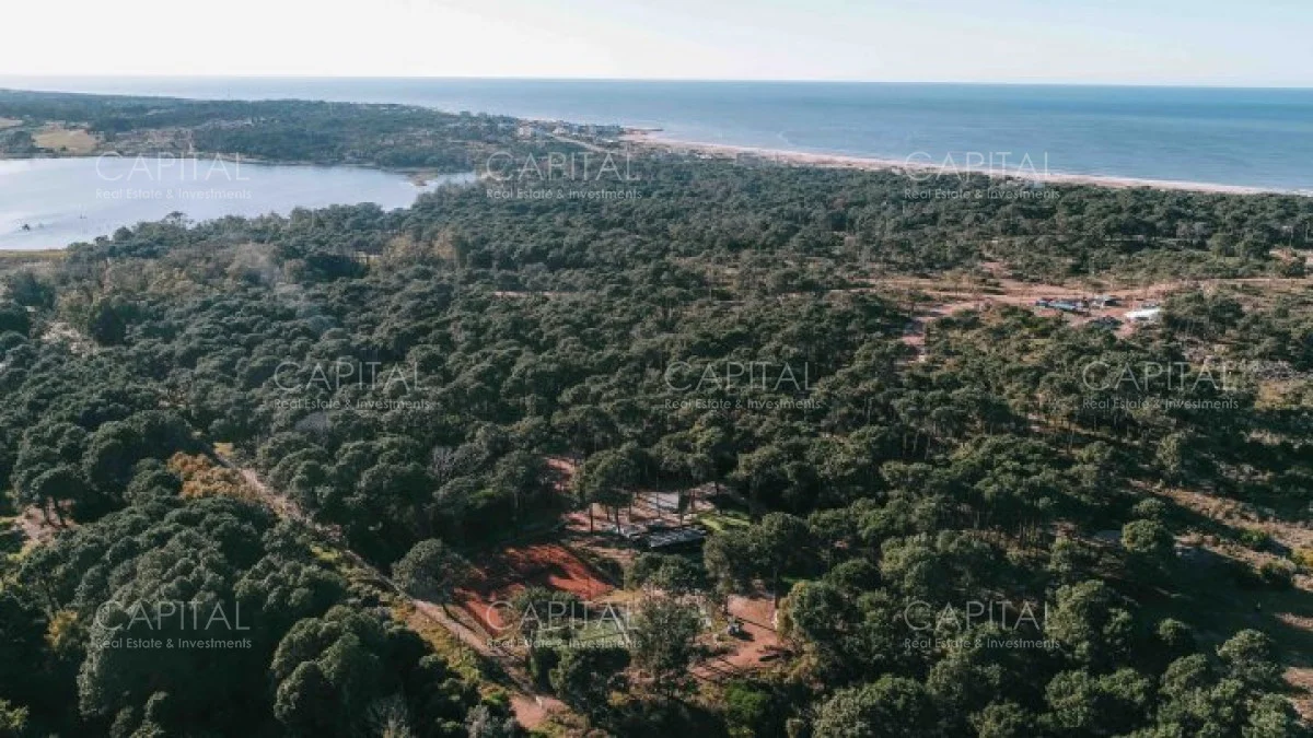 Terreno en Montoya, propiedad 279692 -Imagen 8