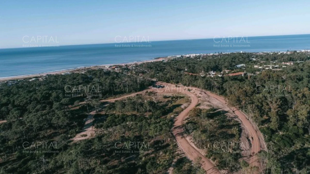 Terreno en Montoya, propiedad 279708 -Imagen 4