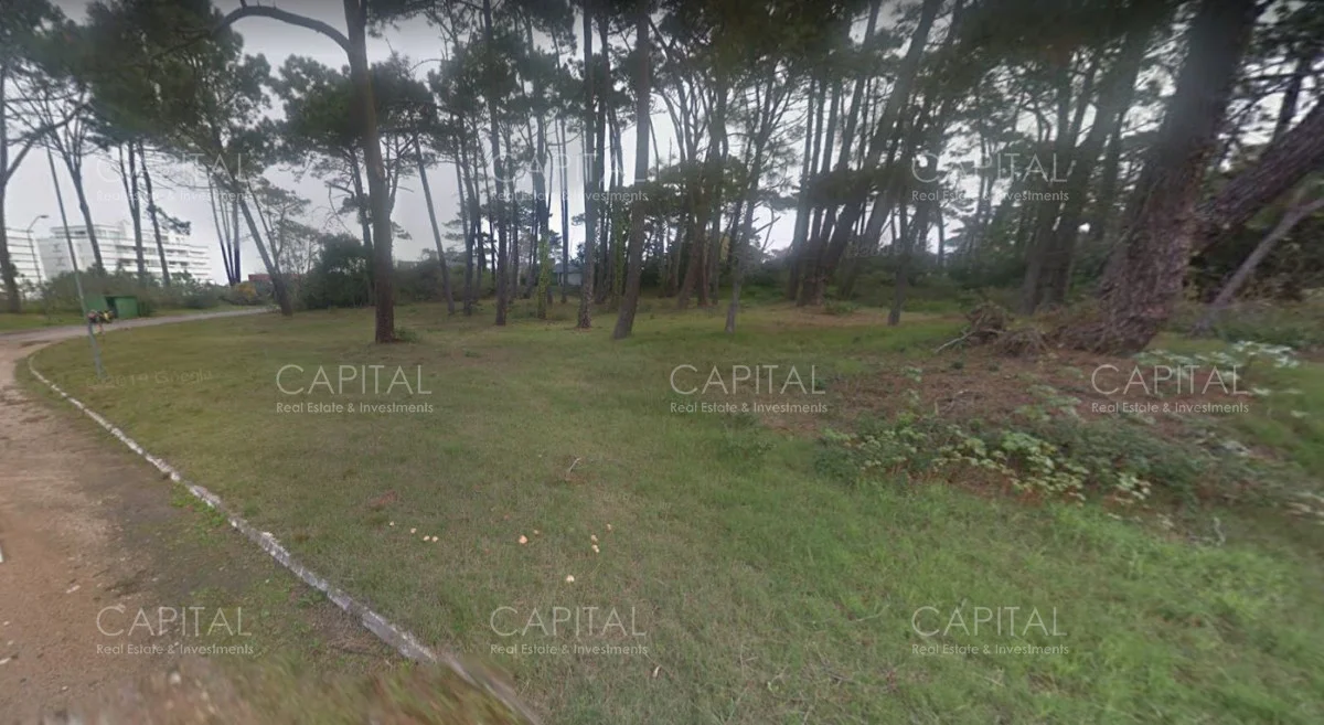 Terreno en Playa Brava, propiedad 279711 -Imagen 2