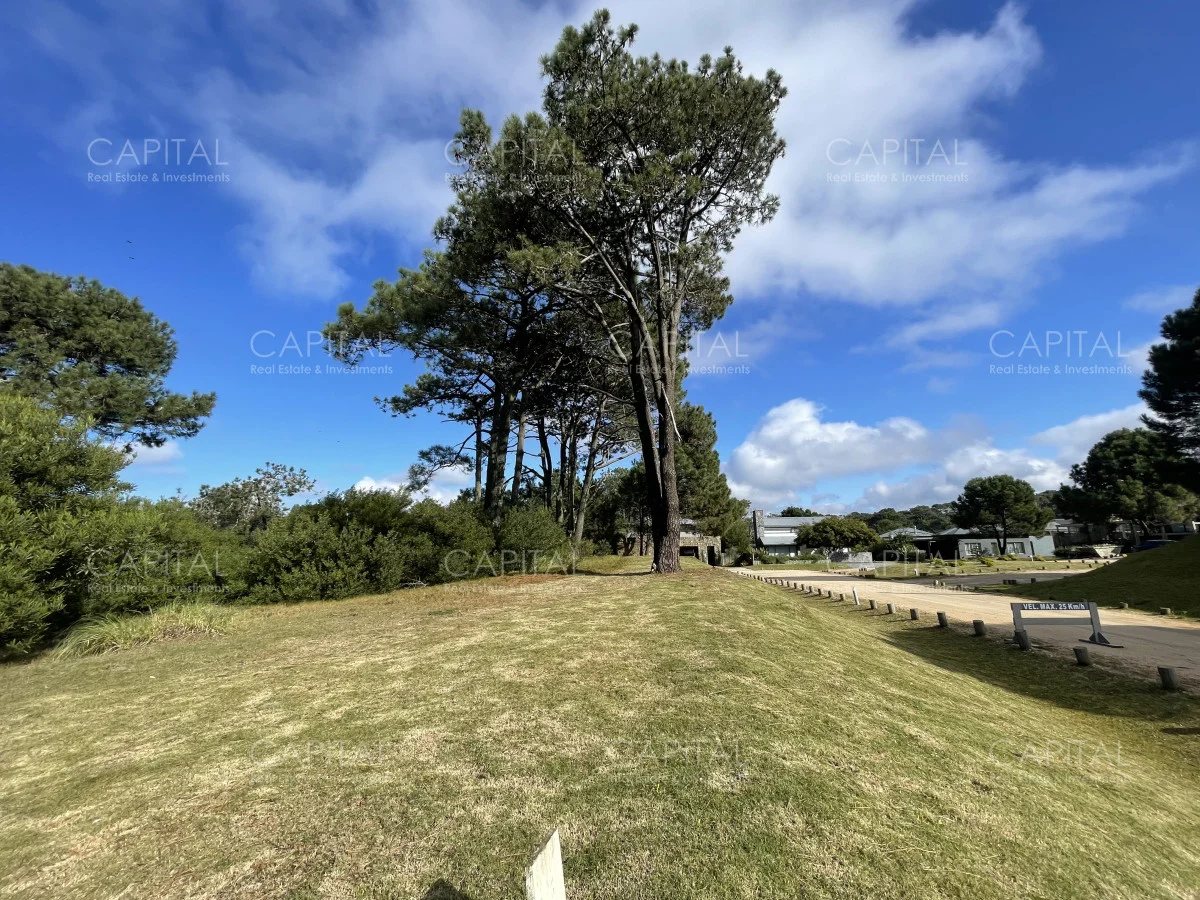 Terreno en Pinar del Faro, propiedad 279727 -Imagen 2