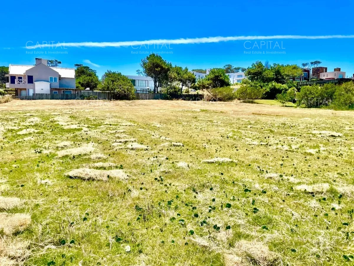 Terreno en Montoya, propiedad 279754 -Imagen 3