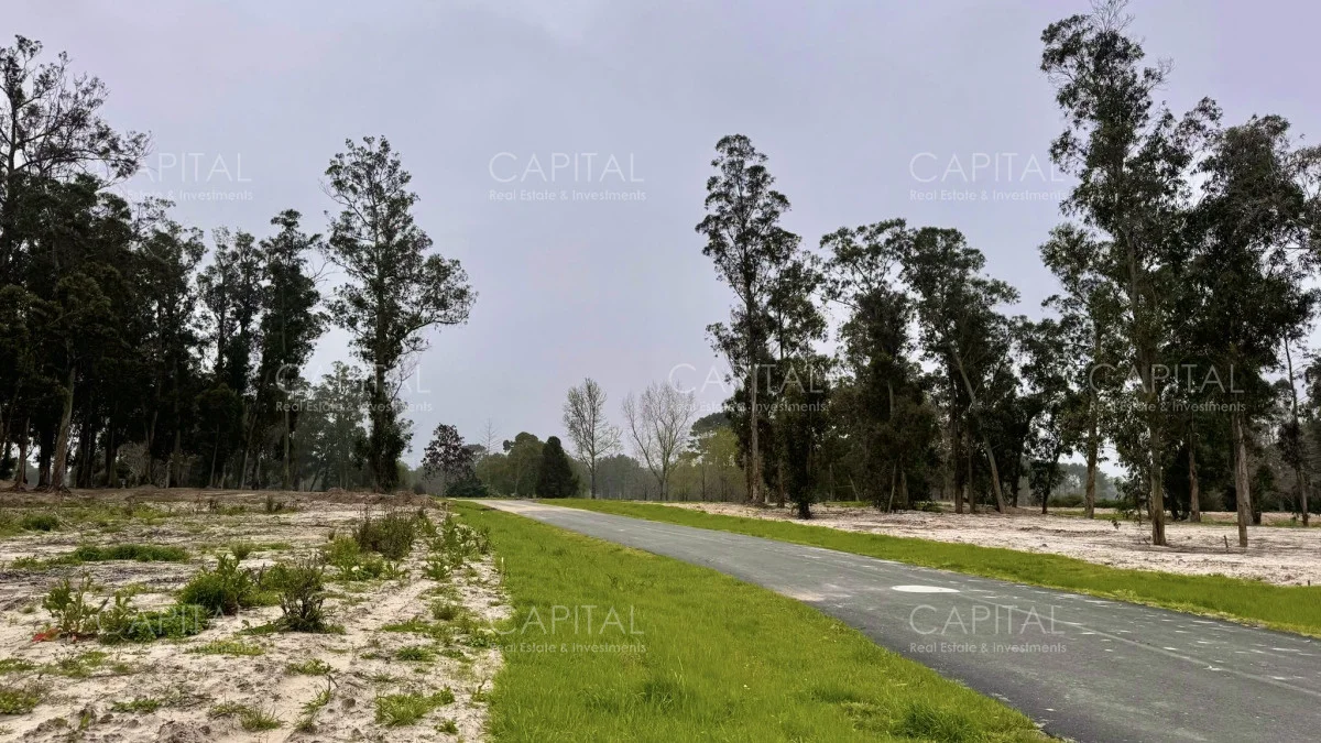 Terreno en Punta del Este, propiedad 279758 -Imagen 2