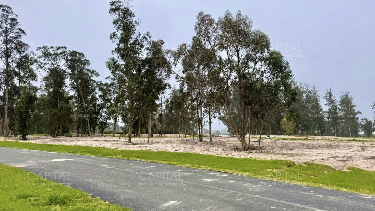 Terreno en Punta del Este, propiedad 279758 -Imagen 4