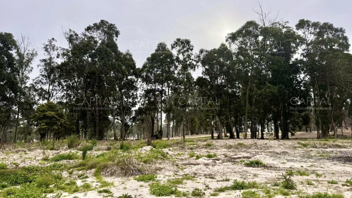 Terreno en Punta del Este, propiedad 279758 -Imagen 5