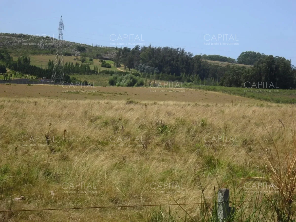 Terreno en La Barra, propiedad 279767 -Imagen 2