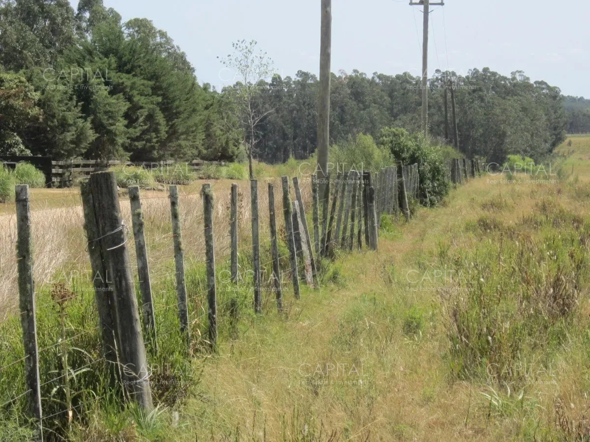 Terreno en La Barra, propiedad 279767 -Imagen 4
