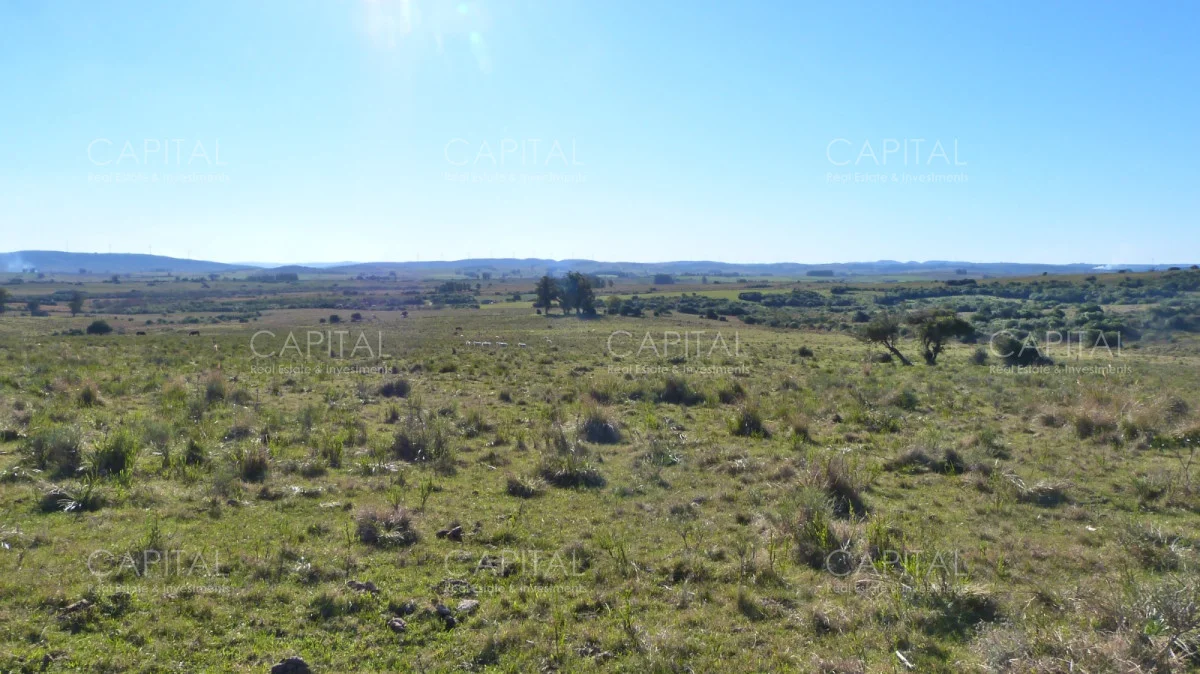 Campo en Maldonado, propiedad 279769 -Imagen 2