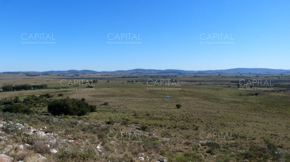 Campo en Maldonado, propiedad 279769 -Imagen 11