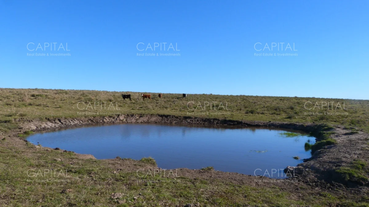 Campo en Maldonado, propiedad 279769 -Imagen 14
