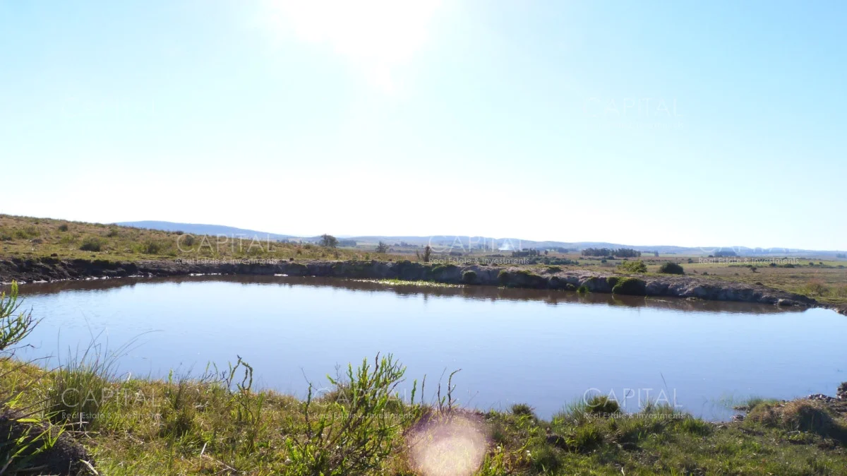 Campo en Maldonado, propiedad 279769 -Imagen 3
