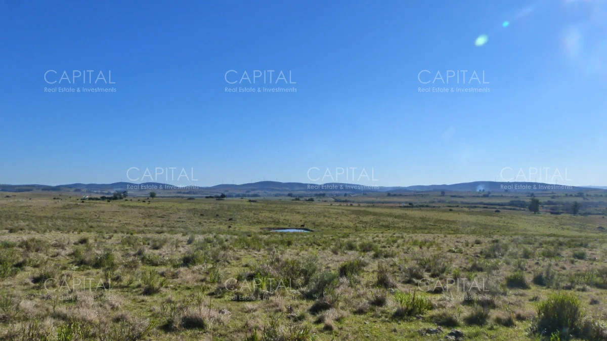 Campo en Maldonado, propiedad 279769 -Imagen 4