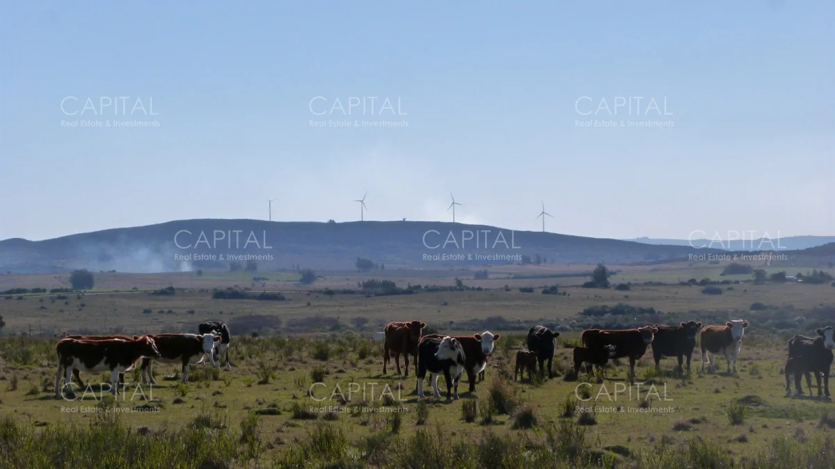 Campo en Maldonado, propiedad 279769 -Imagen 5