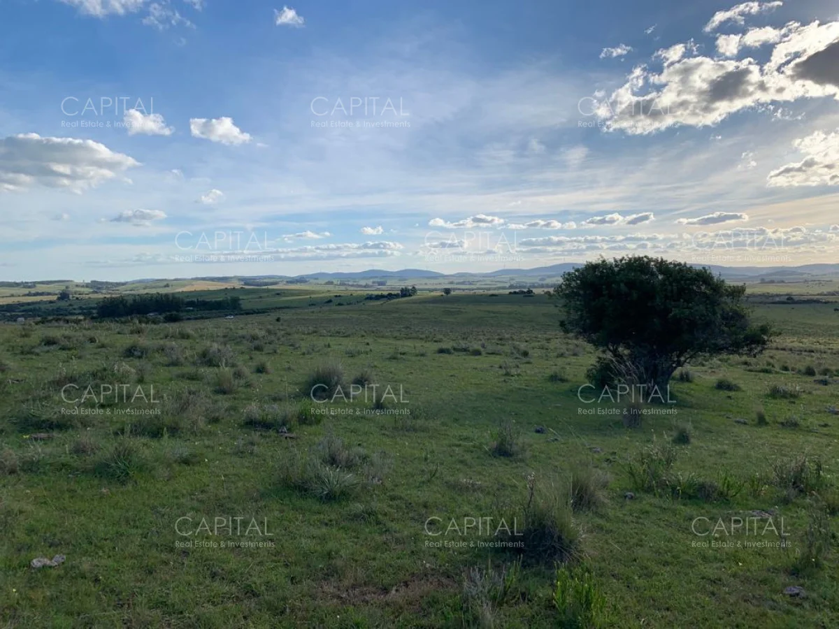 Campo en Maldonado, propiedad 279769 -Imagen 6