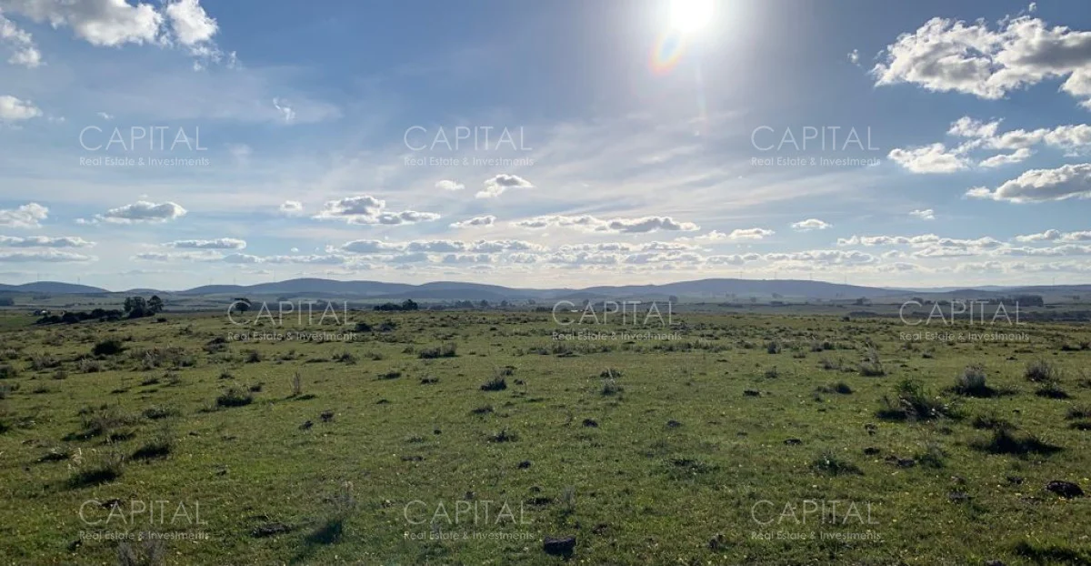 Campo en Maldonado, propiedad 279769 -Imagen 7