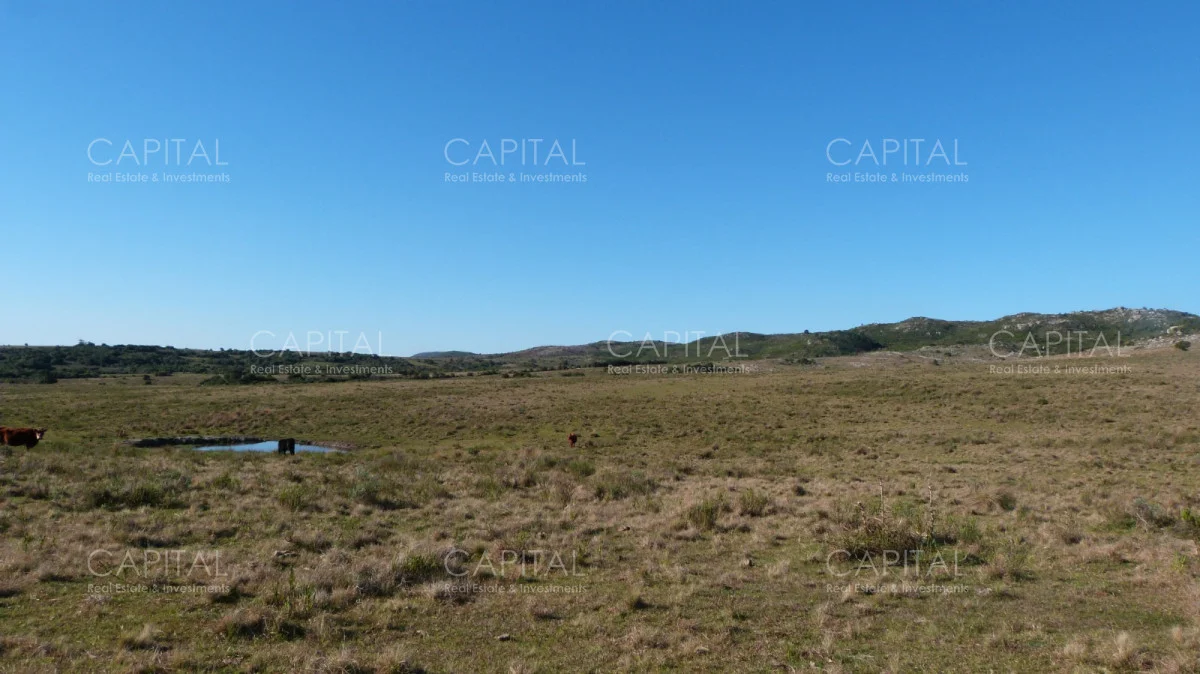 Campo en Maldonado, propiedad 279769 -Imagen 8