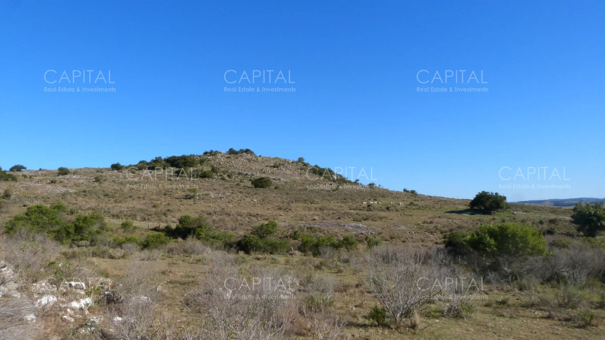 Campo en Maldonado, propiedad 279769 -Imagen 9