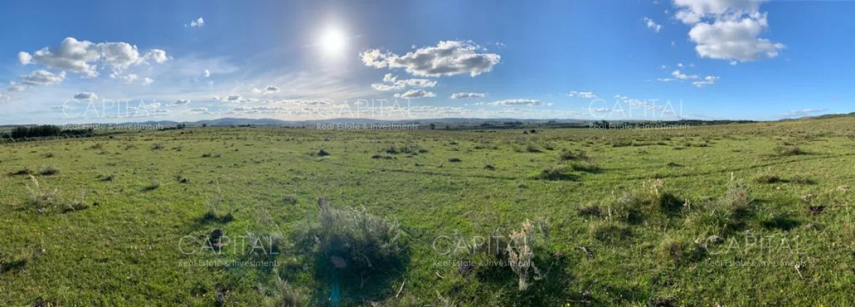 Campo en Maldonado, propiedad 279769 -Imagen 10