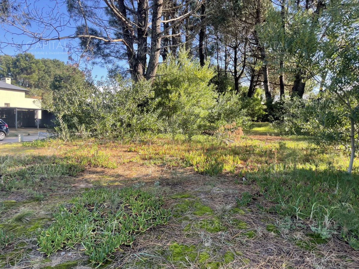 Terreno en José Ignacio, propiedad 279816 -Imagen 2