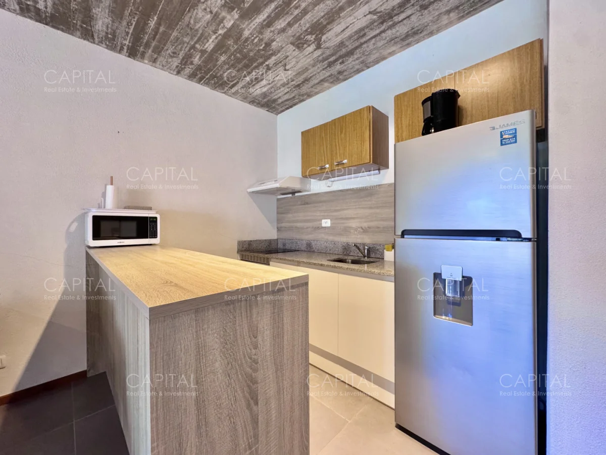 Apartamento en Manantiales, propiedad 279860 -Imagen 8