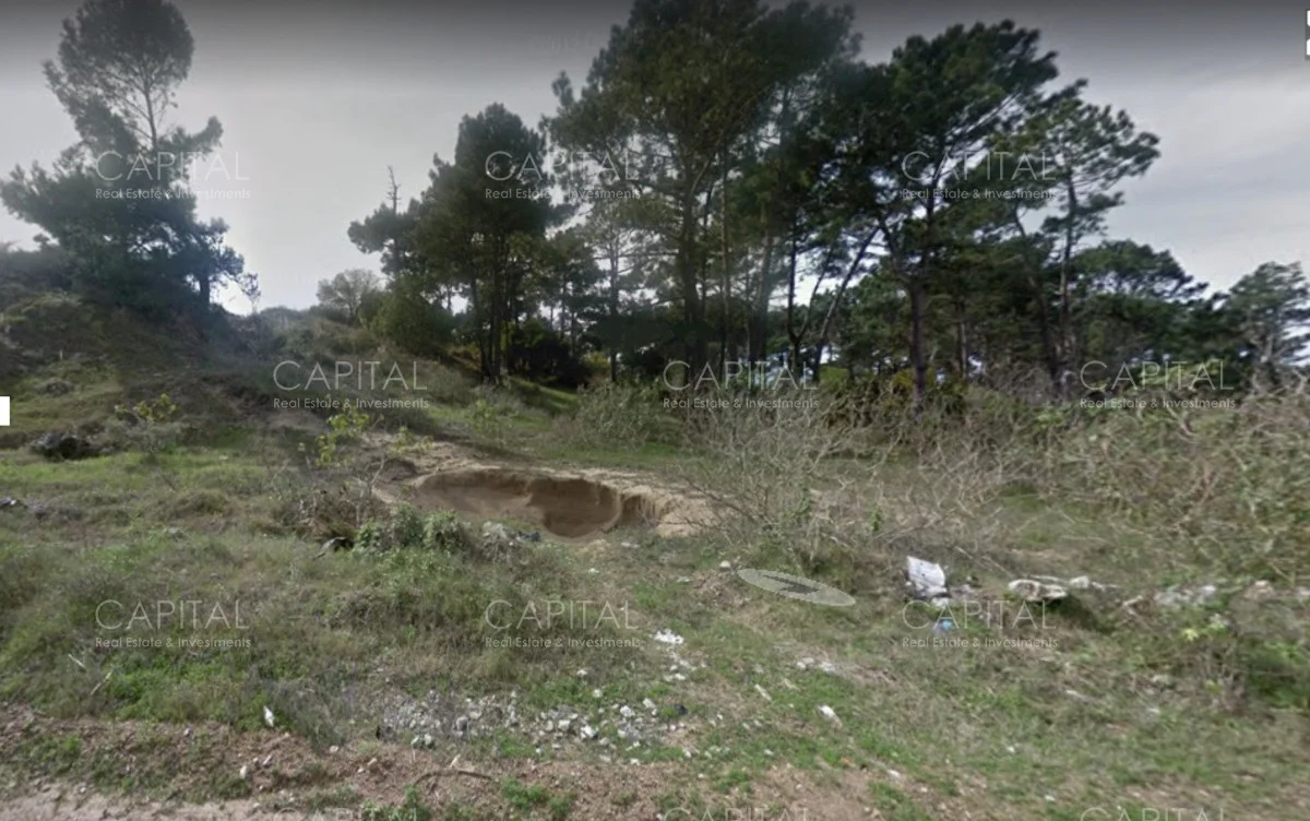 Terreno en Punta del Este, propiedad 279880 -Imagen 4