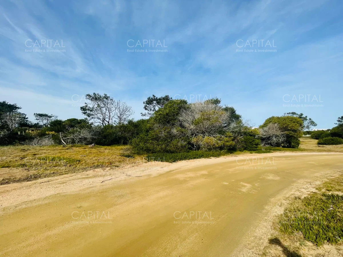 Terreno en José Ignacio, propiedad 279919 -Imagen 2