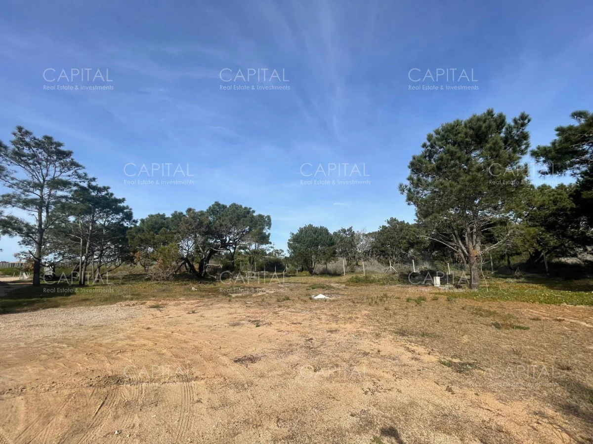Terreno en José Ignacio, propiedad 279920 -Imagen 2