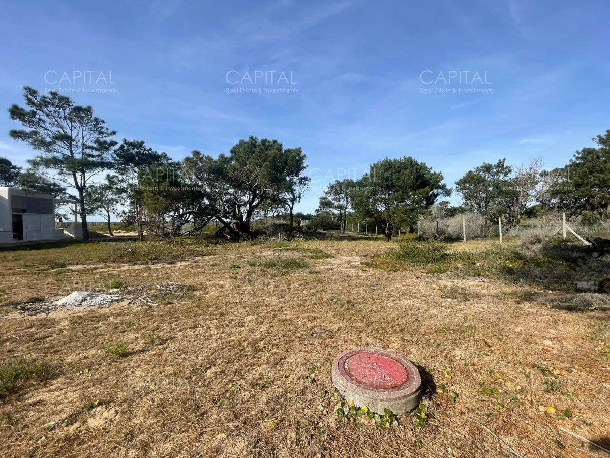 Terreno en José Ignacio, propiedad 279920 -Imagen 3