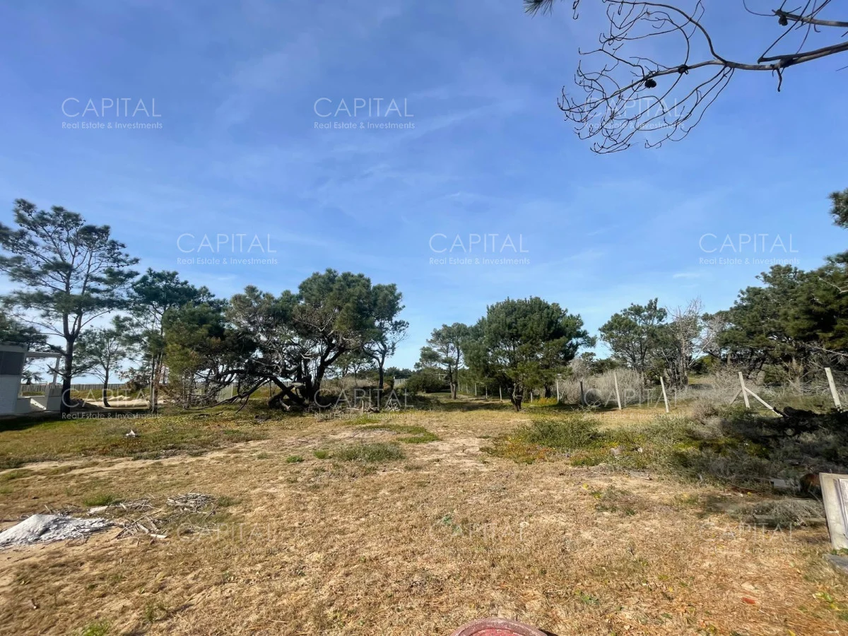 Terreno en José Ignacio, propiedad 279920 -Imagen 4