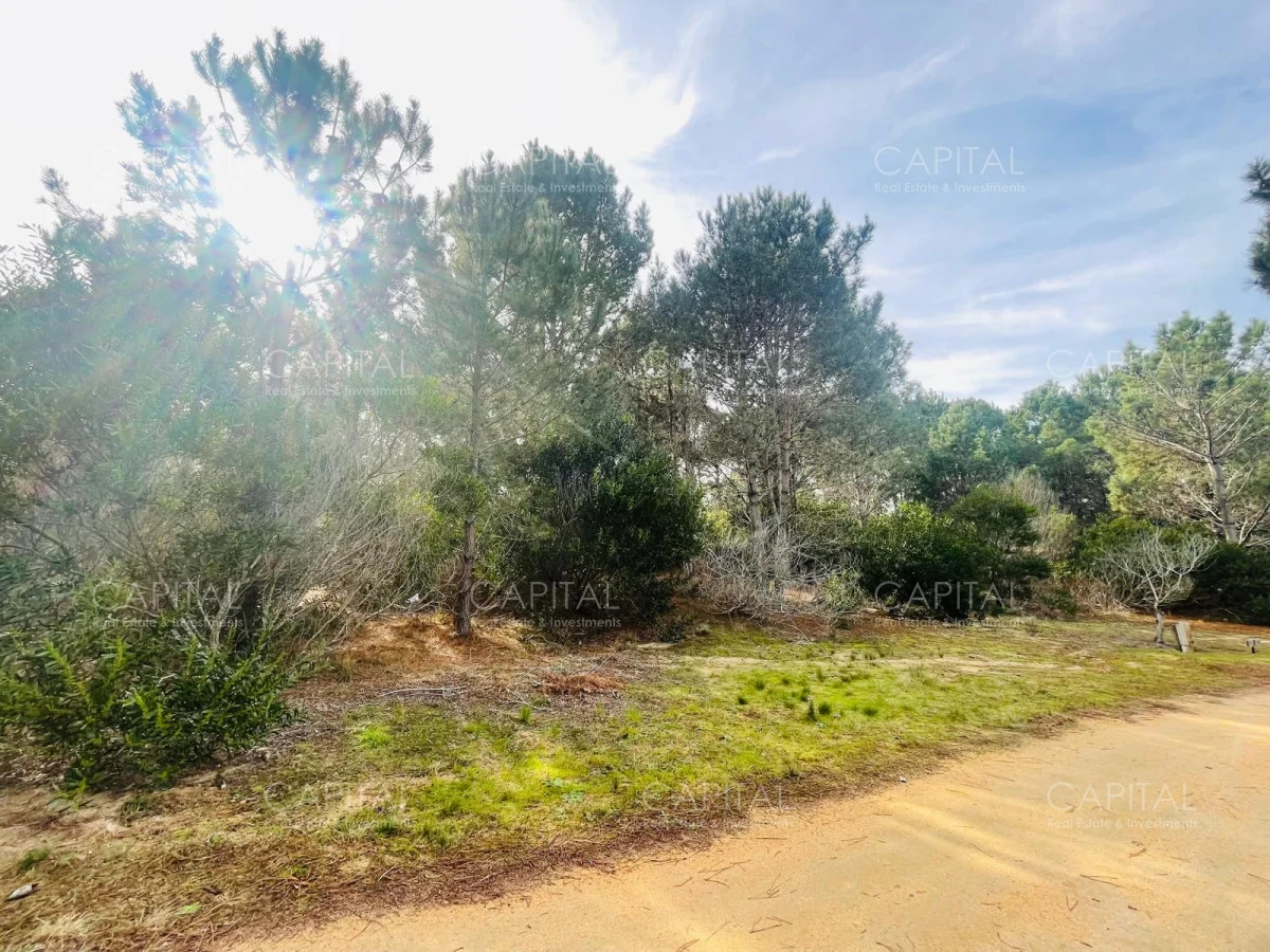 Terreno en José Ignacio, propiedad 279921 -Imagen 1