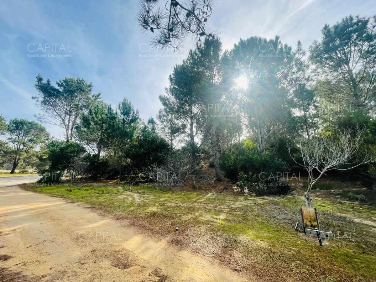 Terreno en José Ignacio, propiedad 279921 -Imagen 2