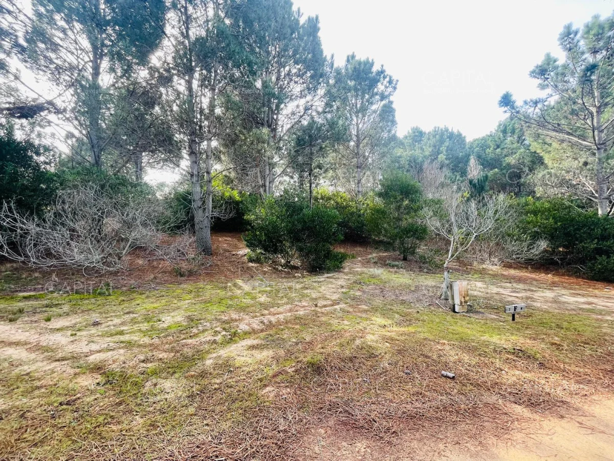 Terreno en José Ignacio, propiedad 279921 -Imagen 3