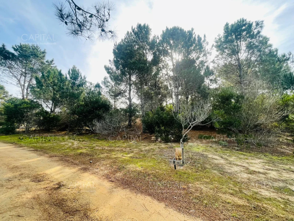 Terreno en José Ignacio, propiedad 279921 -Imagen 4