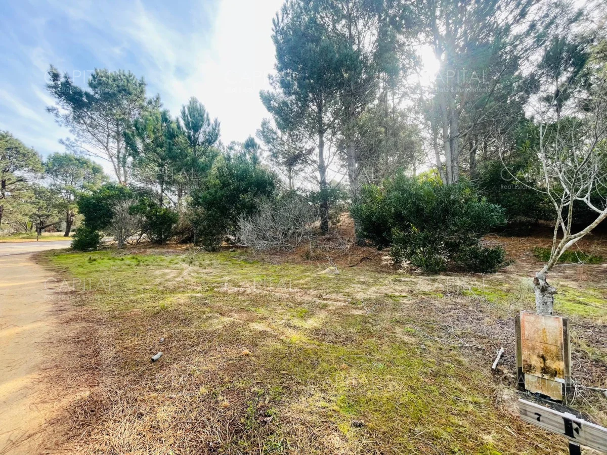 Terreno en José Ignacio, propiedad 279921 -Imagen 5