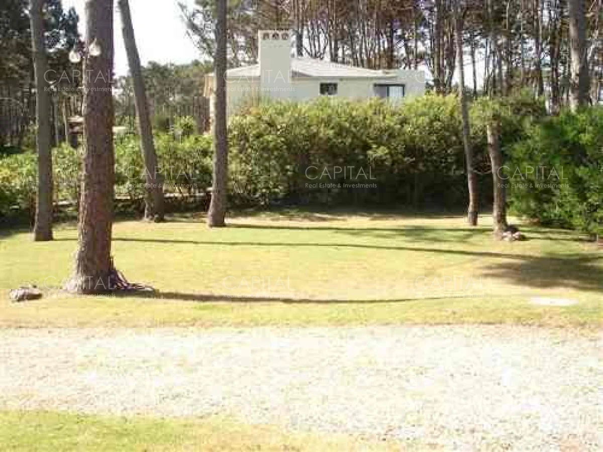Casa en Montoya, propiedad 279939 -Imagen 22