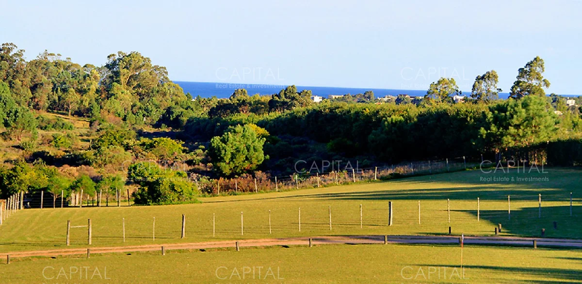 Casa en Punta Piedras, propiedad 280017 -Imagen 8
