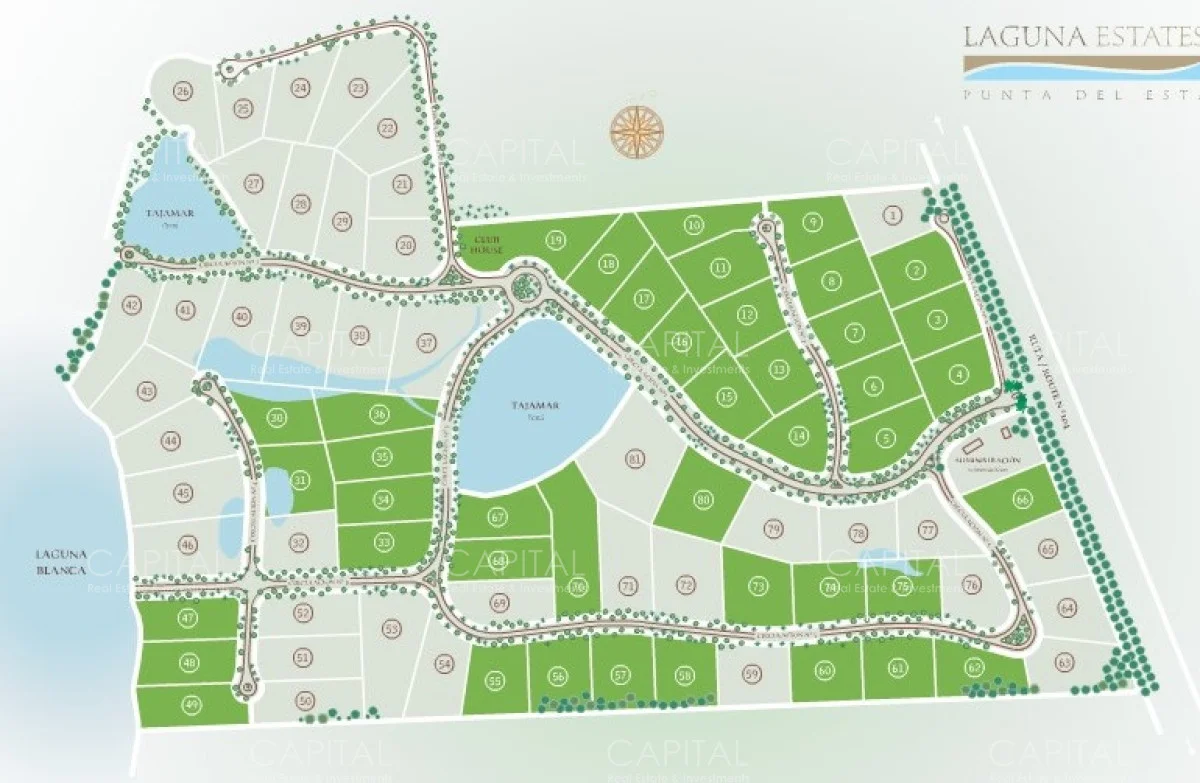 Terreno en Manantiales, propiedad 280135 -Imagen 15