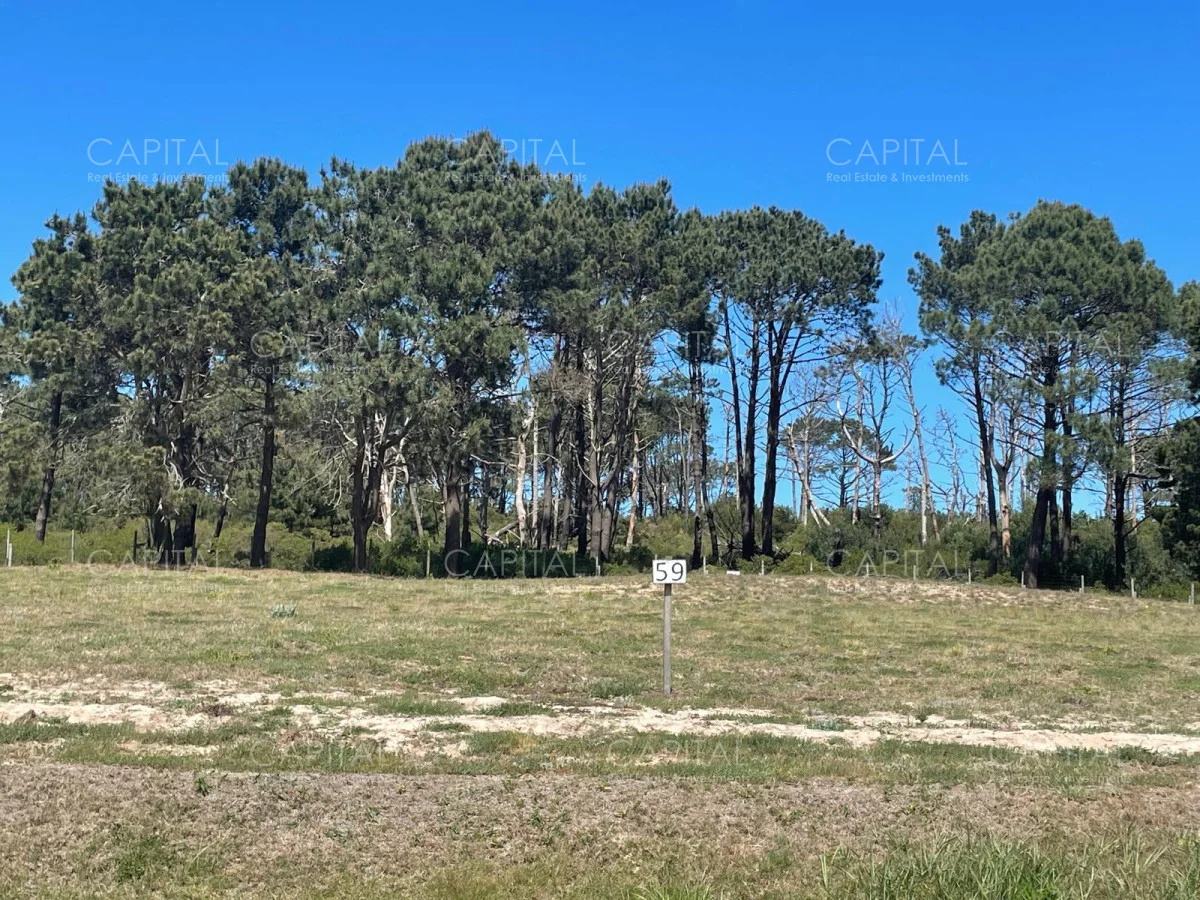 Terreno en Manantiales, propiedad 280135 -Imagen 6