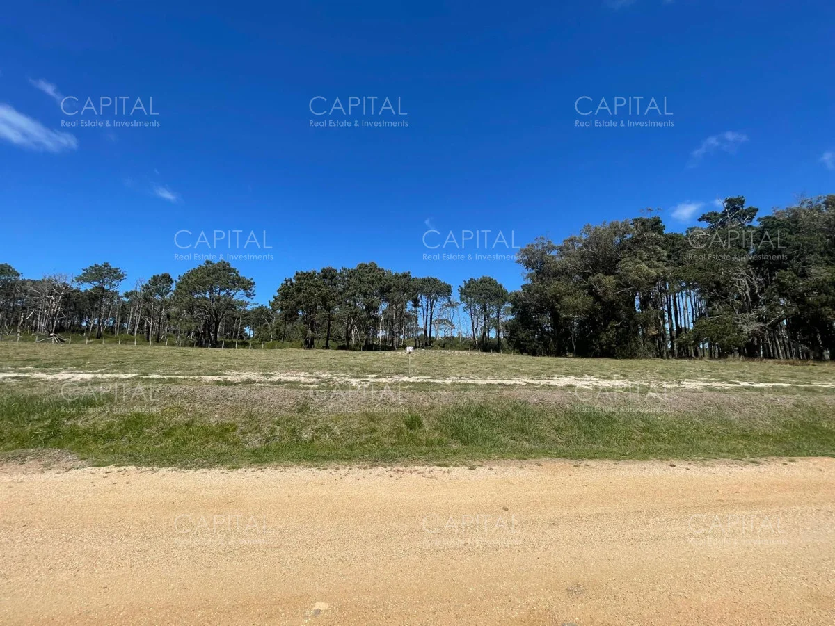 Terreno en Manantiales, propiedad 280135 -Imagen 8