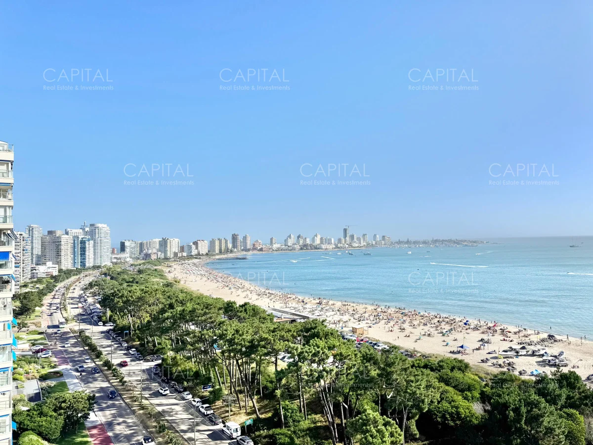 Apartamento en Playa Mansa, propiedad 280198 -Imagen 15