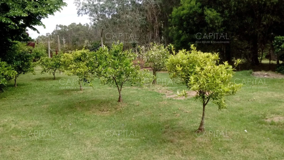 Casa en Manantiales, propiedad 280208 -Imagen 25