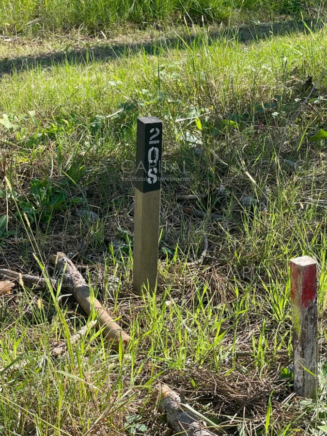 Terreno en Montoya, propiedad 280211 -Imagen 4