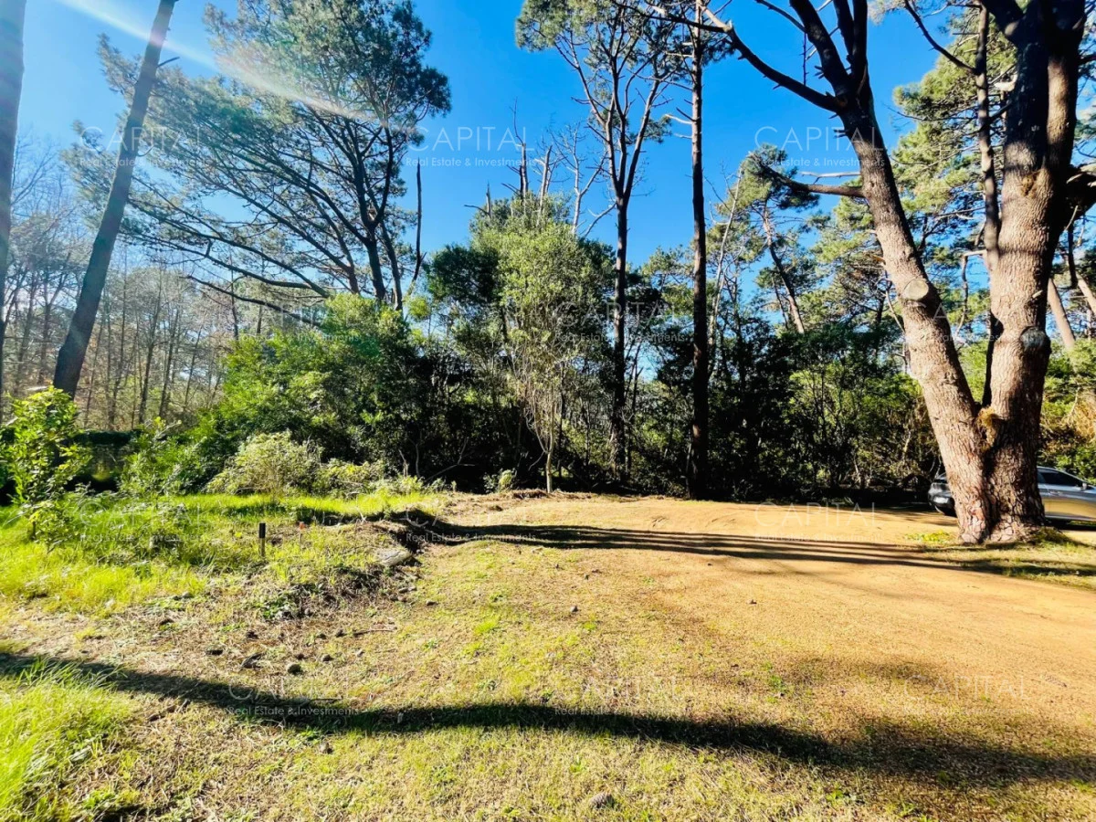 Terreno en Montoya, propiedad 280211 -Imagen 5