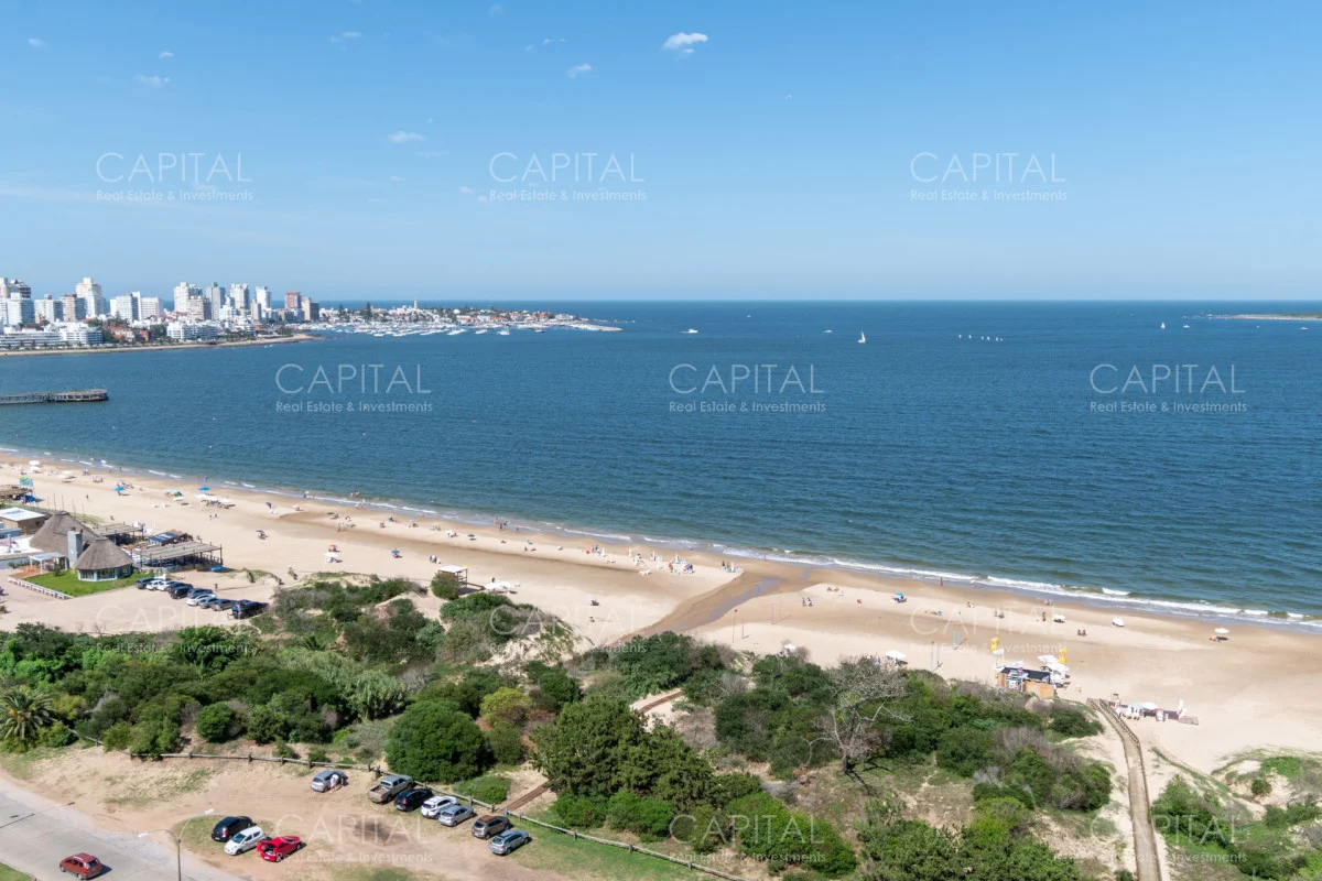 Apartamento en Playa Mansa, propiedad 280217 -Imagen 2