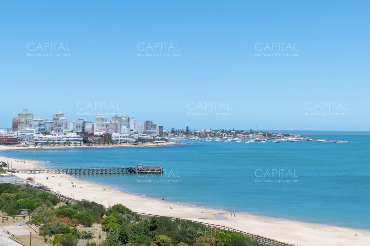 Apartamento en Playa Mansa, propiedad 280268 -Imagen 19