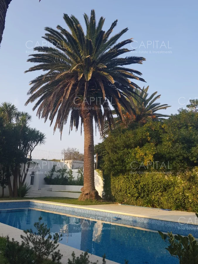 Apartamento en La Barra, propiedad 280352 -Imagen 7
