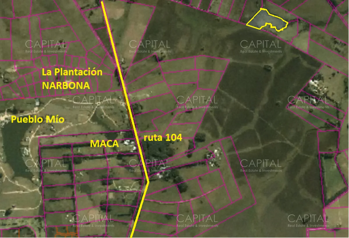 Chacra en Manantiales, propiedad 281445 -Imagen 4