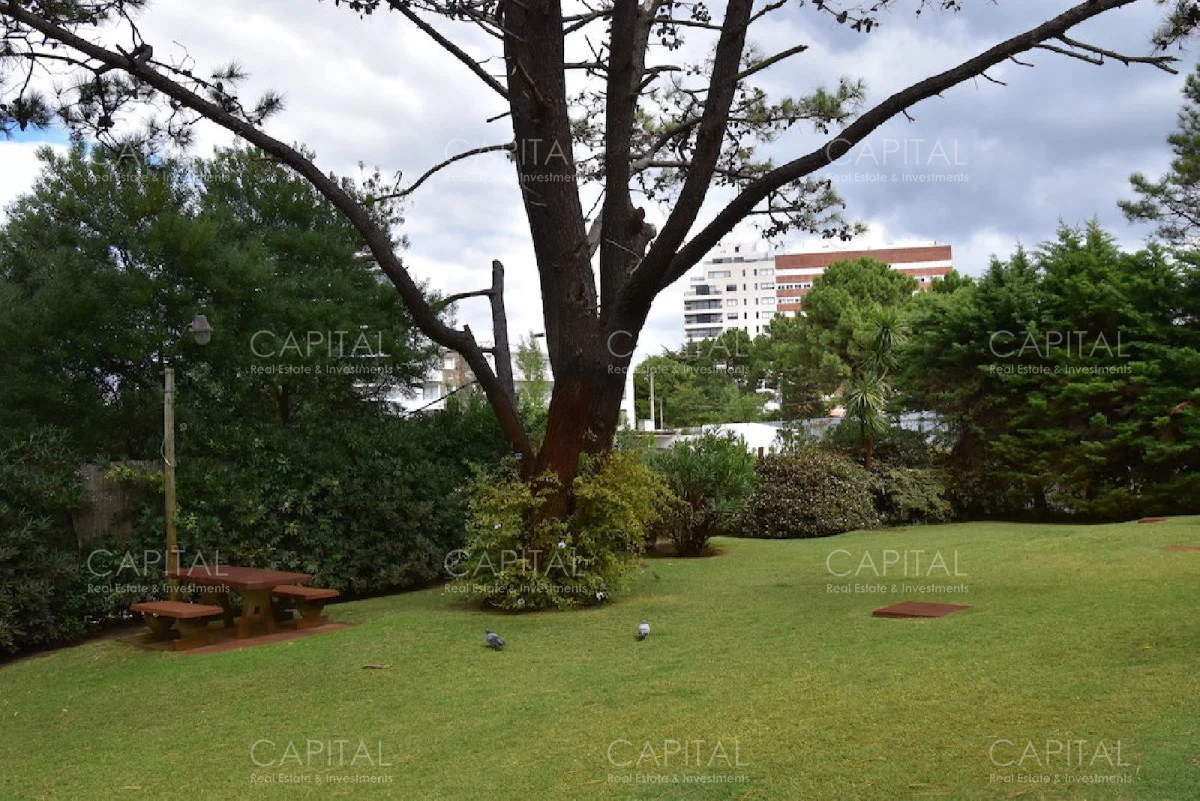 Apartamento en Aidy Grill, propiedad 281557 -Imagen 8