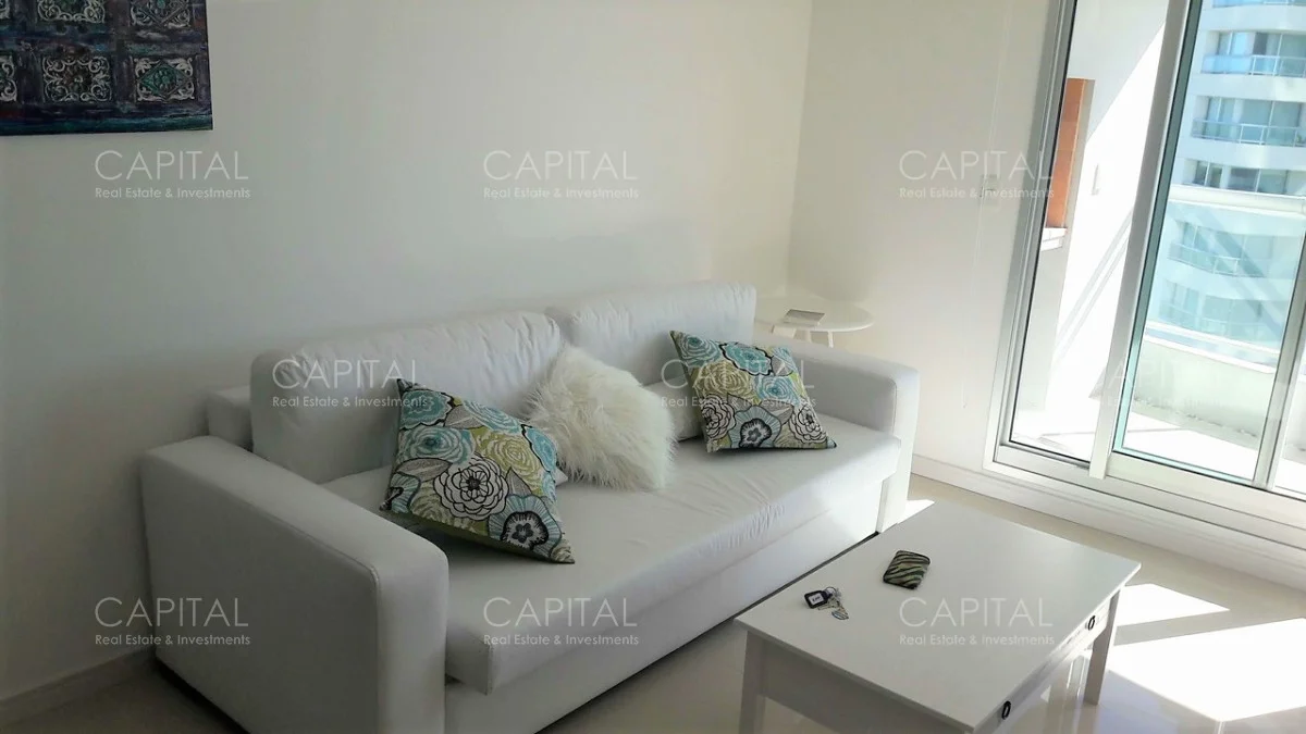 Apartamento en Playa Brava, propiedad 281564 -Imagen 2