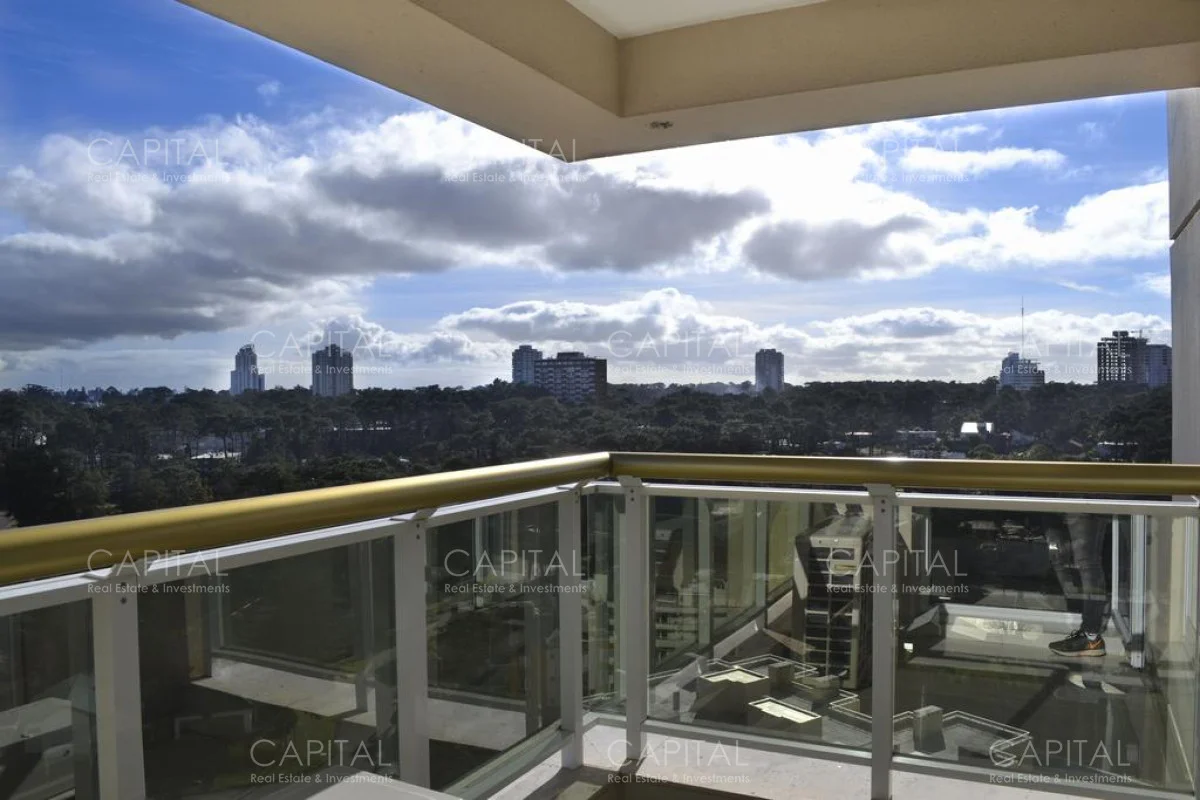 Apartamento en Playa Mansa, propiedad 281588 -Imagen 25