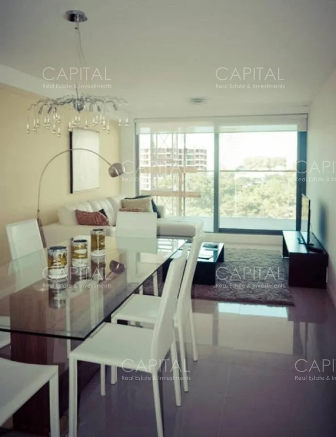 Apartamento en Playa Brava, propiedad 281602 -Imagen 2